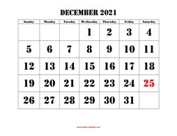Printable December 2021 Calendar, large font design , holidays on red (horizontal)